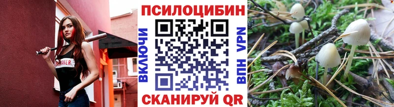 MEGA ONION  Николаевск-на-Амуре  Псилоцибиновые грибы ЛСД 